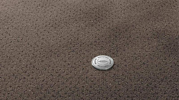 Ковролин Vorwerk Superior 1071 Vorwerk 5y29 фото 1 | FLOORDEALER