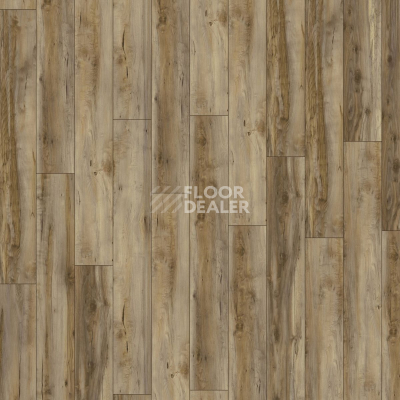 Ламинат Kronotex Exquisit 8мм d6007 Клен Каньон фото 3 | FLOORDEALER