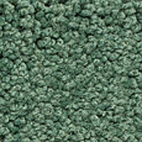 Ковролин Girloon Body1 451 фото 1 | FLOORDEALER