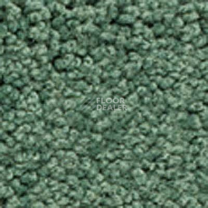 Ковролин Girloon Body1 451 фото 1 | FLOORDEALER