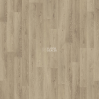 Kronotex Dynamic Plus d4155 Дуб Роскошный Серебряный фото 5 | FLOORDEALER