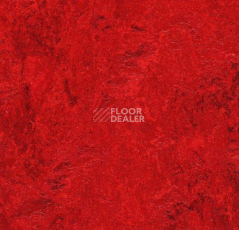 Линолеум Forbo Marmoleum Decibel 312735 фото 1 | FLOORDEALER