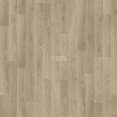 Kronotex Dynamic Plus d4155 Дуб Роскошный Серебряный фото 5 | FLOORDEALER