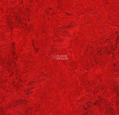 Forbo Marmoleum Decibel 312735 фото 1 | FLOORDEALER