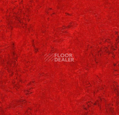 Линолеум Forbo Marmoleum Decibel 312735 фото 1 | FLOORDEALER