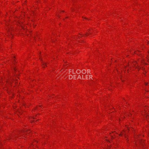 Линолеум Forbo Marmoleum Decibel 312735 фото 1 | FLOORDEALER