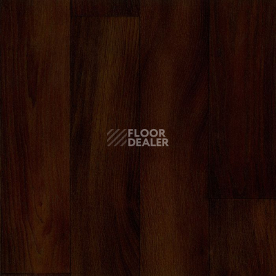 Линолеум Tarkett Acczent Timber TOBAGO 5 фото 1 | FLOORDEALER