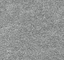 Ковролин AW Passion AW Passion  95 фото 1 | FLOORDEALER