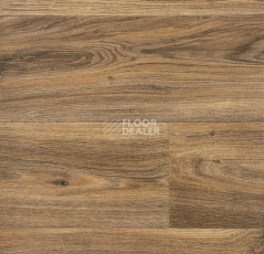 Линолеум Forbo Emerald Wood Fr 5904 фото 1 | FLOORDEALER