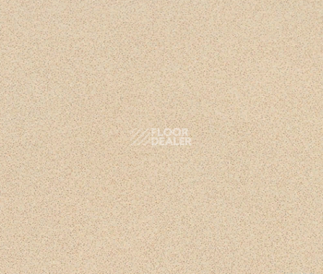 Линолеум Novoflor Extra Comfort 2015-9 фото 1 | FLOORDEALER