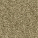 Ковролин Desso Asteranne 2015  | FLOORDEALER