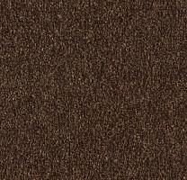 Грязезащитные покрытия Forbo Coral Marine FR 4226 Tanger Brown фото 1 | FLOORDEALER