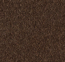 Грязезащитные покрытия Forbo Coral Marine FR 4226 Tanger Brown фото 1 | FLOORDEALER