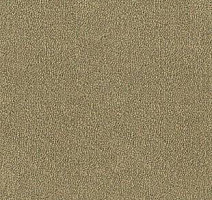 Ковролин Desso Asteranne 2015 фото 1 | FLOORDEALER