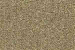 Ковролин Desso Asteranne 2015 фото  | FLOORDEALER