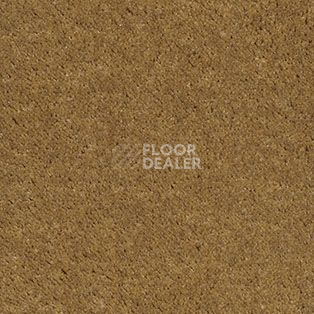 Ковролин AW Illusion 54 фото 1 | FLOORDEALER