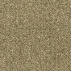 Desso Asteranne 2015 фото 1 | FLOORDEALER