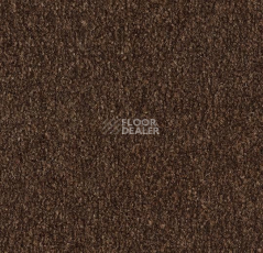 Грязезащитные покрытия Forbo Coral Marine FR 4226 Tanger Brown фото 1 | FLOORDEALER