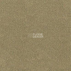 Ковролин Desso Asteranne 2015 фото 1 | FLOORDEALER