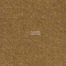 Ковролин AW Illusion 54 фото 1 | FLOORDEALER