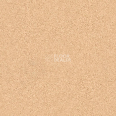 Линолеум Tarkett Primo Plus M Primo 304 фото 1 | FLOORDEALER