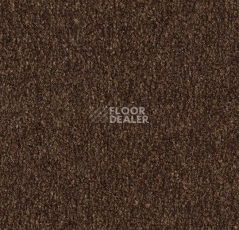 Грязезащитные покрытия Forbo Coral Marine FR 4226 Tanger Brown фото 1 | FLOORDEALER