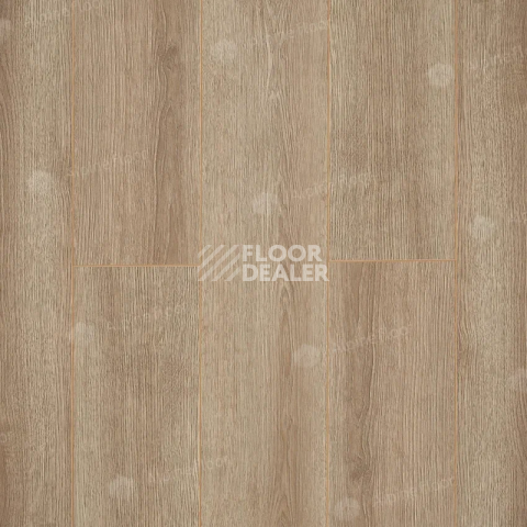 Ламинат Alpine Floor Premium 10мм P1001  ДУБ КАШЕМИР фото 1 | FLOORDEALER