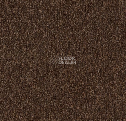 Грязезащитные покрытия Forbo Coral Marine FR 4226 Tanger Brown фото 1 | FLOORDEALER