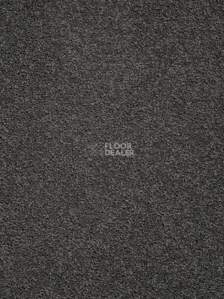 Ковролин Haima Noble 60 фото 1 | FLOORDEALER