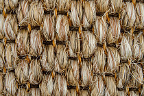 Tasibel Zambesi 2060 / 19 фото 3 | FLOORDEALER