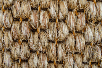 Tasibel Zambesi 2060 / 19 фото 3 | FLOORDEALER
