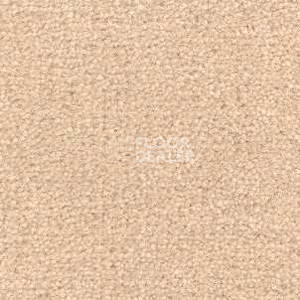 Ковролин Radici Montecarlo 51 фото 1 | FLOORDEALER