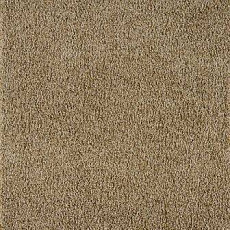 Big Vivaldi 243 фото 1 | FLOORDEALER