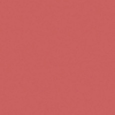 Линолеум Tarkett Omnisports R35 TH_CORAL фото 1 | FLOORDEALER