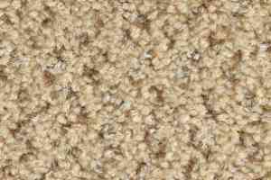 Ковролин Balsan Tango Tango 620 фото  | FLOORDEALER