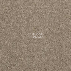 Ковровая плитка Modulyss Cambridge 817 фото 1 | FLOORDEALER