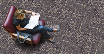 Alchemy Alchemy 796 фото 2 | FLOORDEALER