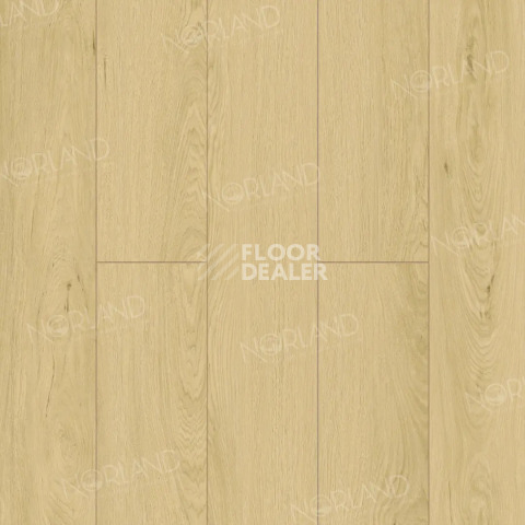 Ламинат Norland Elegant Strong 12мм Дуб Азор LF302-05 фото 1 | FLOORDEALER