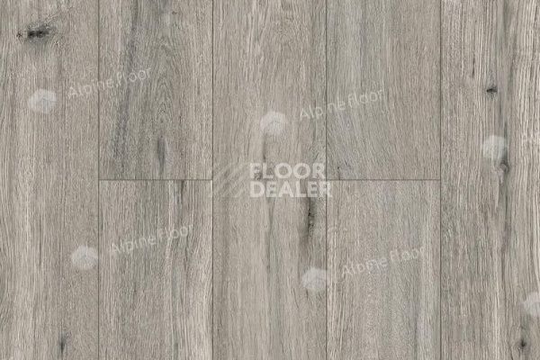 Ламинат Alpine Floor Intensity 12мм LF101-10 Дуб Палермо фото 1 | FLOORDEALER