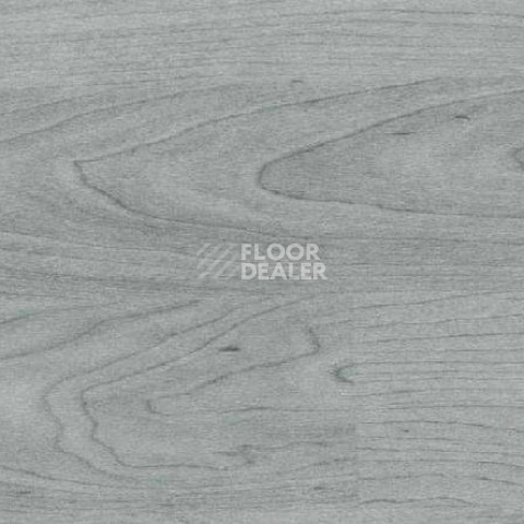 Линолеум Gerflor Taraflex Multi-Use 6.2 Wood 3708_Wood_Grey фото 1 | FLOORDEALER