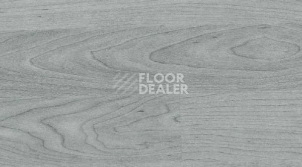 Линолеум Gerflor Taraflex Multi-Use 6.2 Wood 3708_Wood_Grey фото 1 | FLOORDEALER