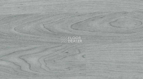 Линолеум Taraflex Multi-Use 6.2 Wood 3708_Wood_Grey фото 1 | FLOORDEALER