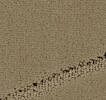 Ковролин Balsan Pavillon 630 фото 1 | FLOORDEALER