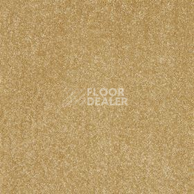 Ковролин AW Sonrisa 23 фото 1 | FLOORDEALER