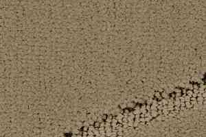 Ковролин Balsan Pavillon 630 фото  | FLOORDEALER