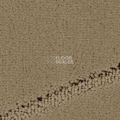 Ковролин Balsan Pavillon 630 фото 1 | FLOORDEALER