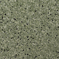 Standard Conductive 810 Forest фото 1 | FLOORDEALER