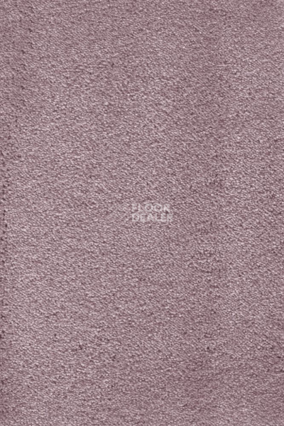 Ковролин AW Masquerade Fedone 65 фото 1 | FLOORDEALER