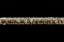 Desso Essence Pure ad 07 2031 фото 3 | FLOORDEALER