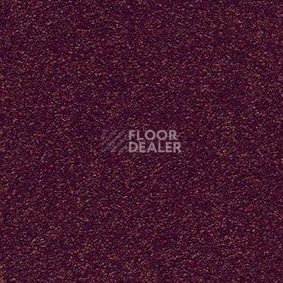 Ковролин AW Brilliant 19 фото 1 | FLOORDEALER